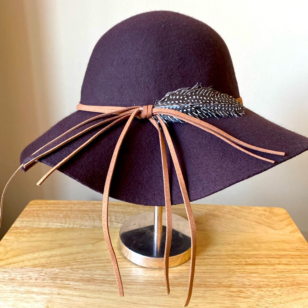Brown Felt Hat